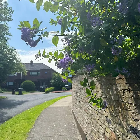 Prázdninový dům 4 Bedroom Lounge In Leafy - June Sale Foxrock