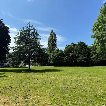 4 Bedroom Lounge In Leafy - June Sale Foxrock